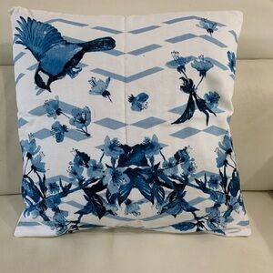 Pier one pillow Case